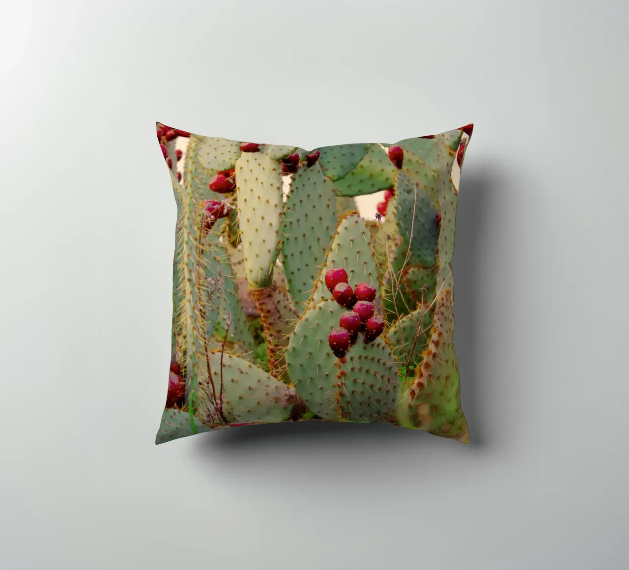 Cactus with prickly pears cuscino da Fjöllart