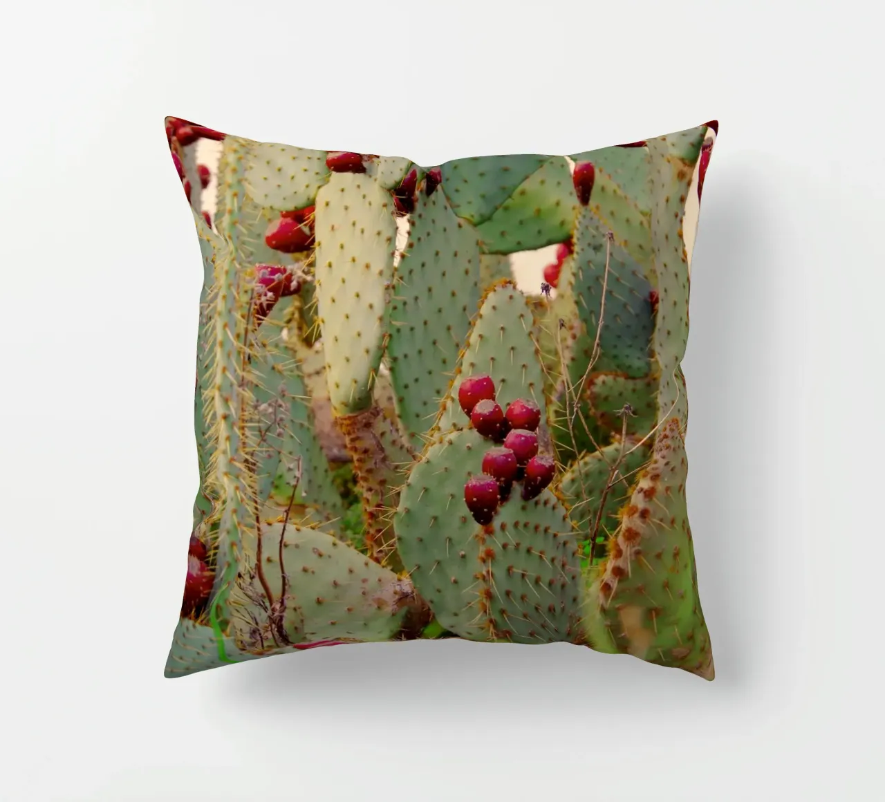 Cactus with prickly pears cuscino da Fjöllart