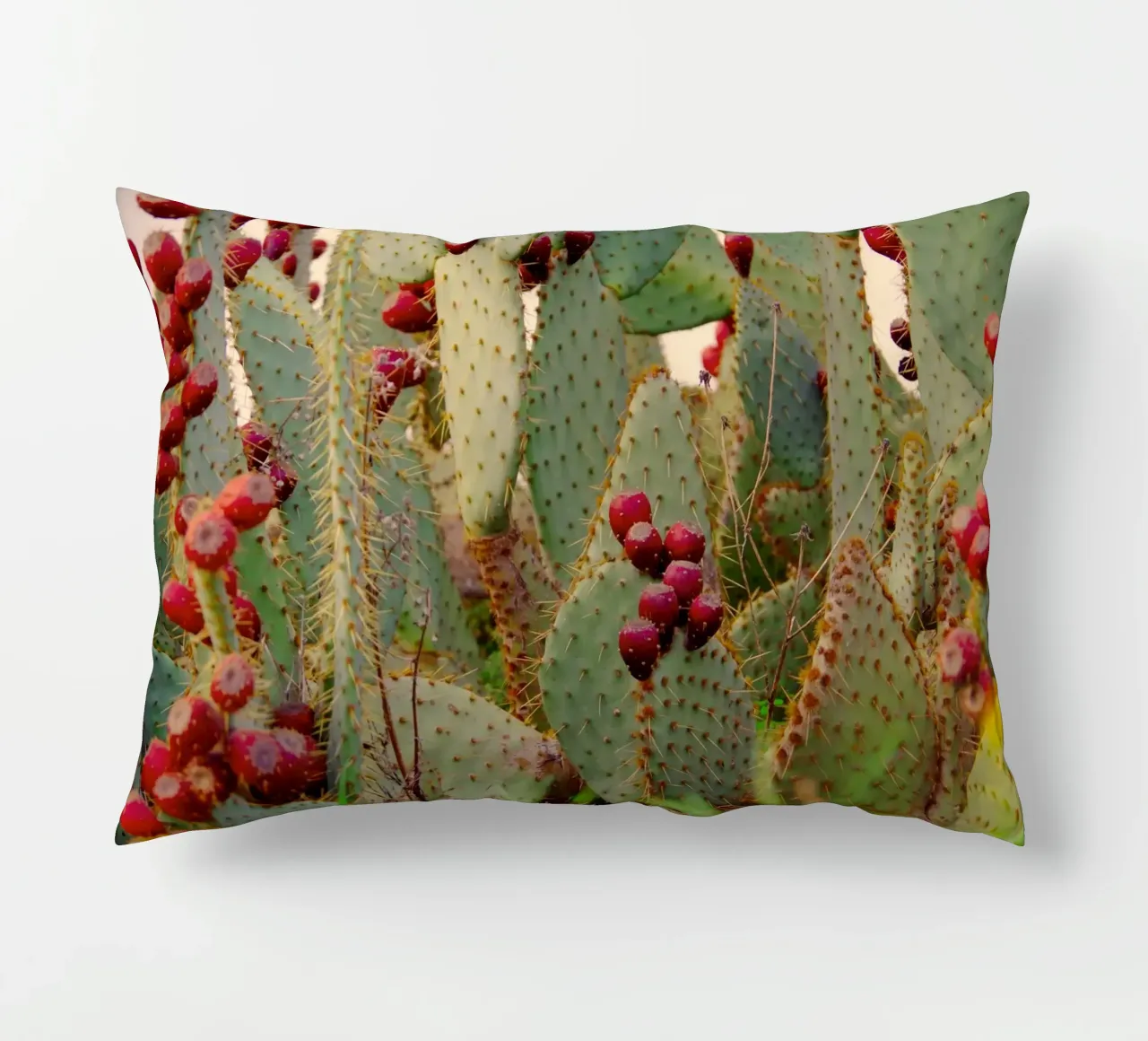 Cactus with prickly pears cuscino da Fjöllart