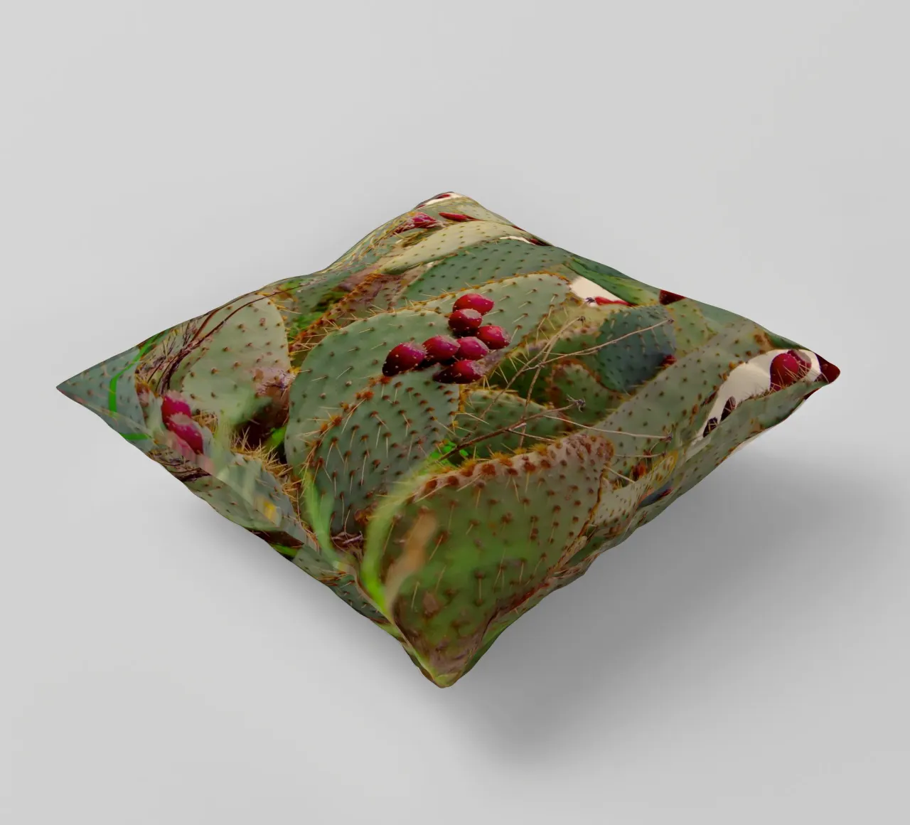 Cactus with prickly pears cuscino da Fjöllart