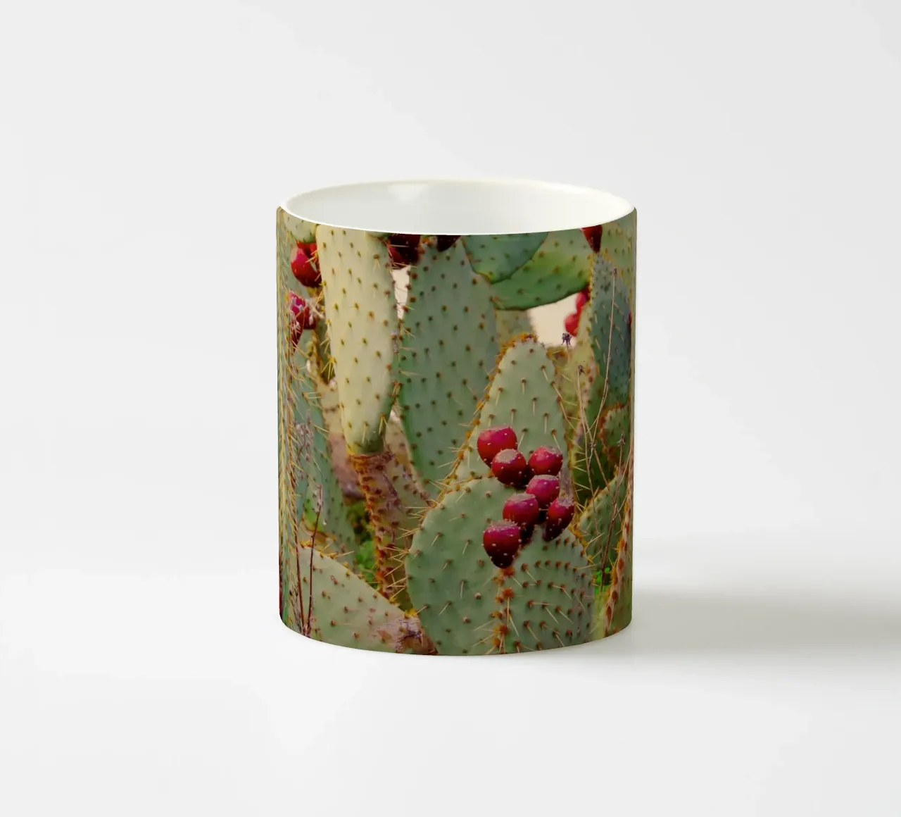 Cactus with prickly pears tazza in ceramica da Fjöllart
