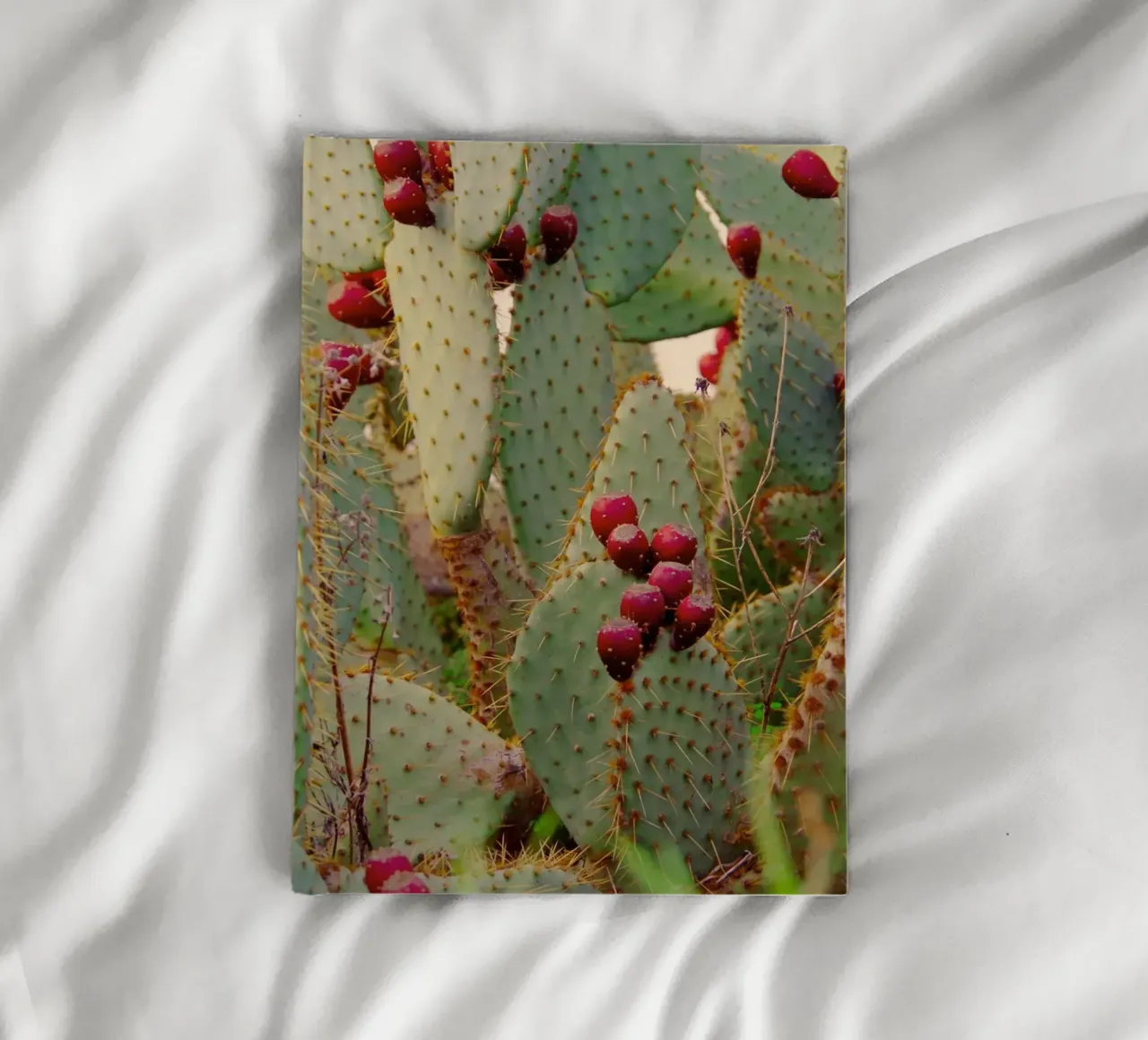 Cactus with prickly pears notebook by Fjöllart
