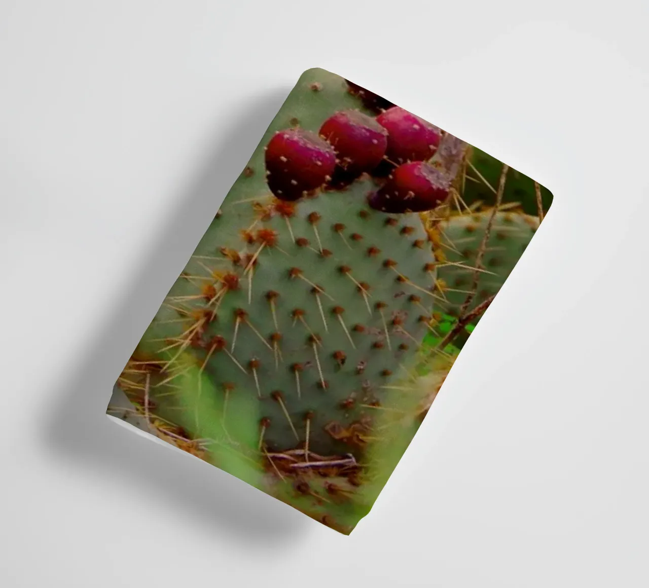 Cactus with prickly pears asciugamano da bagno da Fjöllart