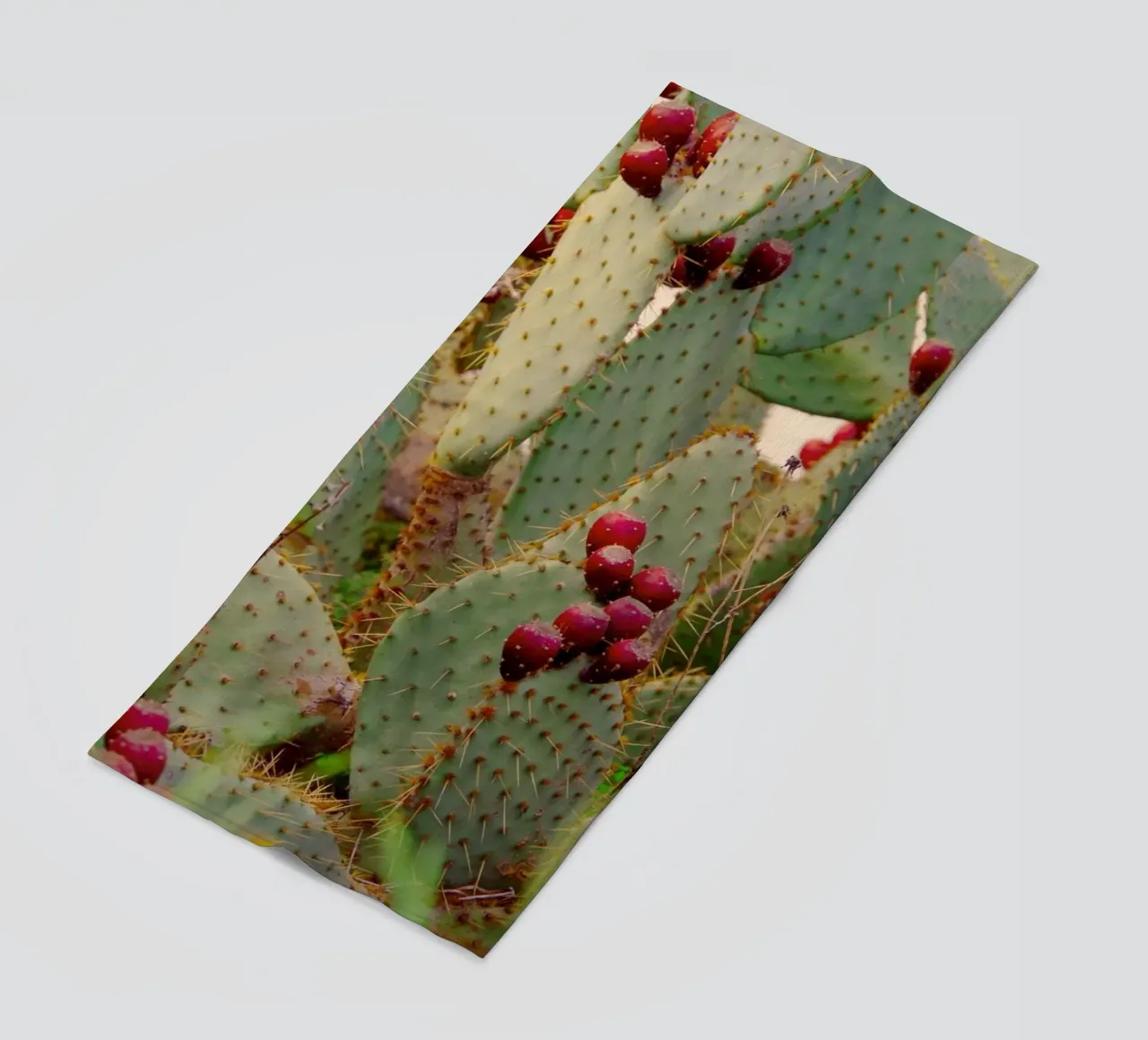 Cactus with prickly pears telo mare da Fjöllart