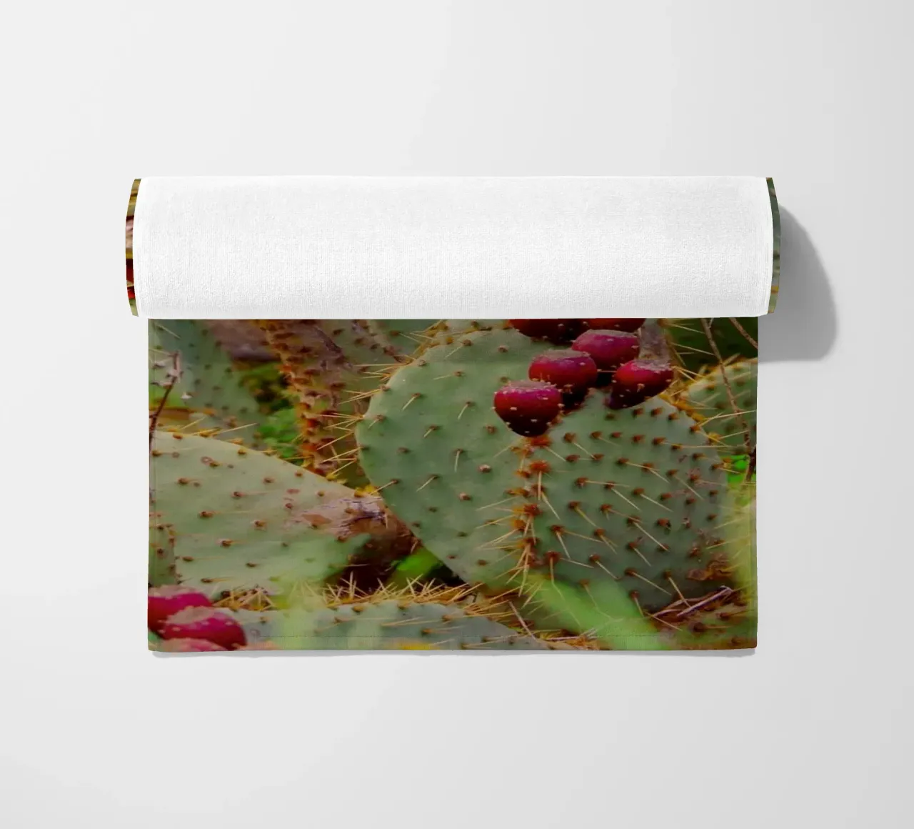 Cactus with prickly pears telo mare da Fjöllart