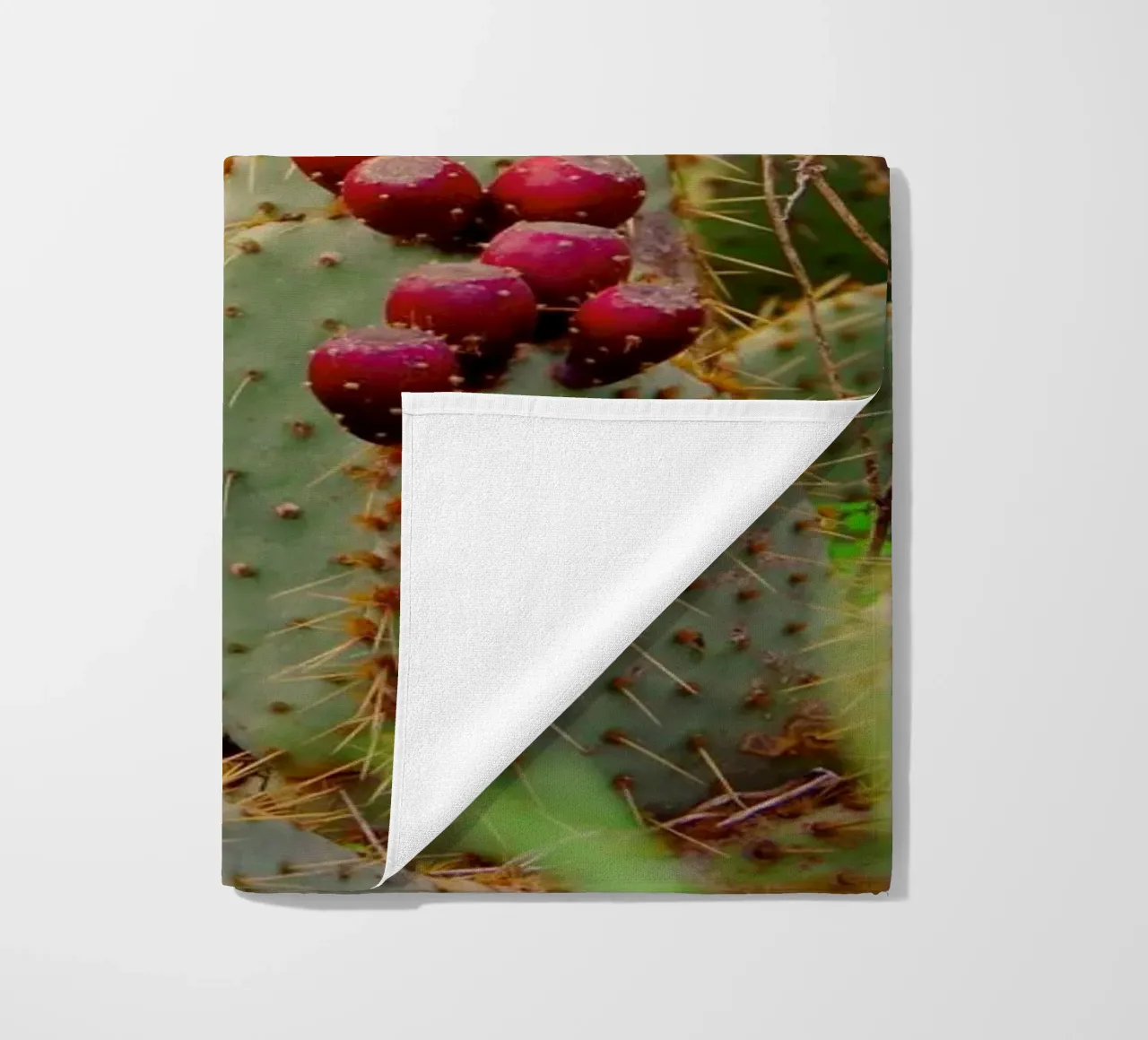 Cactus with prickly pears telo mare da Fjöllart