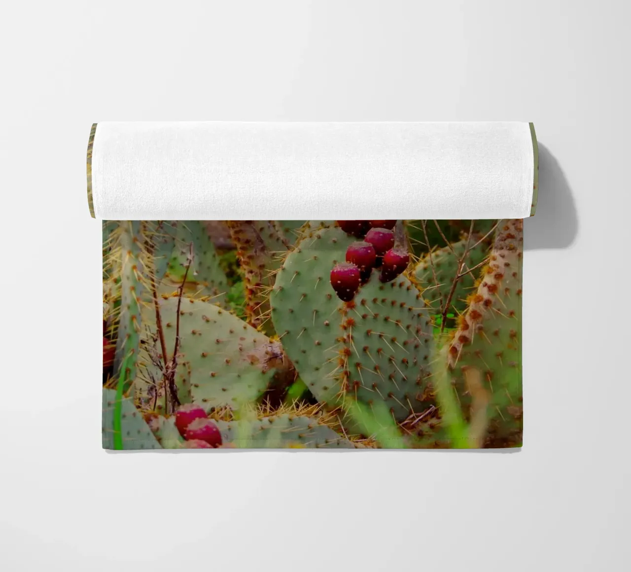 Cactus with prickly pears telo mare da Fjöllart