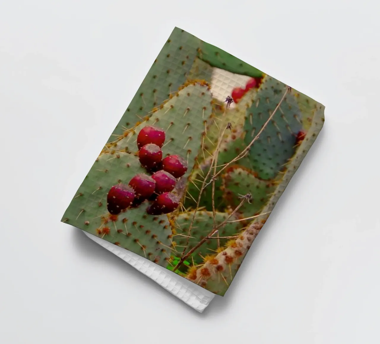 Cactus with prickly pears canovaccio da cucina da Fjöllart