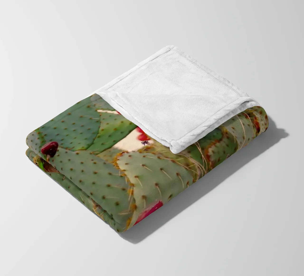 Cactus with prickly pears coperta in pile da Fjöllart