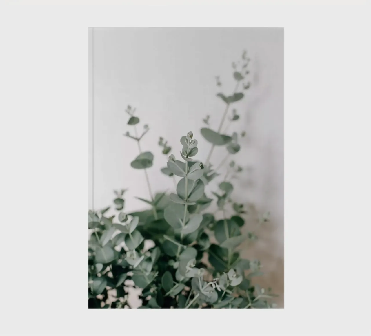 Eucalyptus notebook by susea