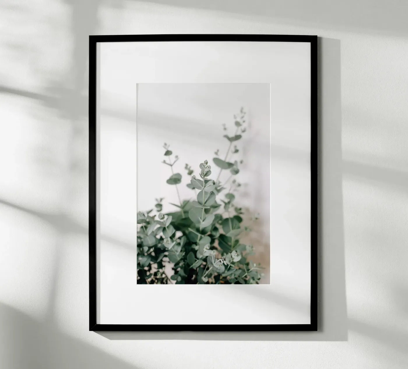 Eucalyptus poster by susea