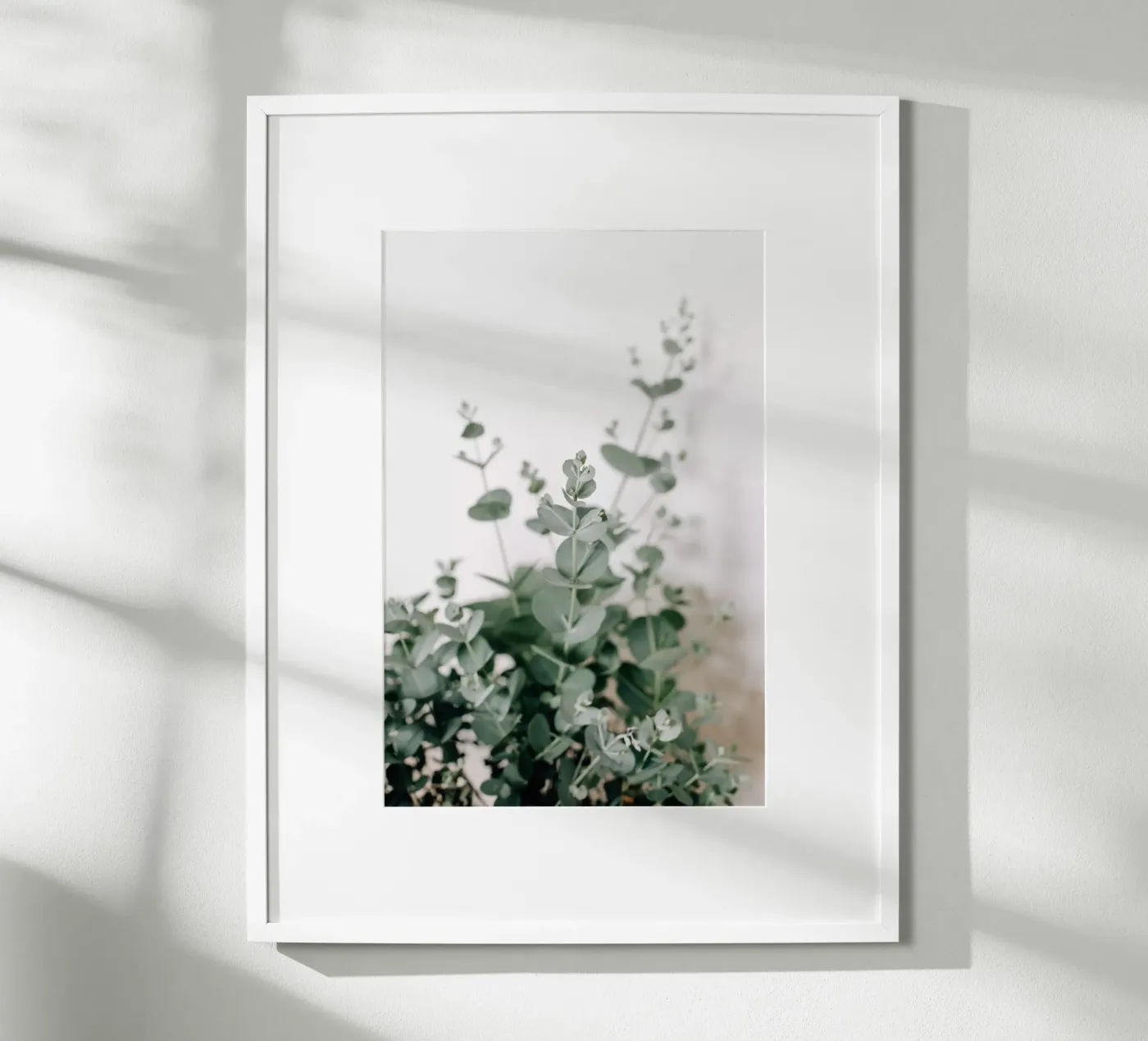 Eucalyptus poster by susea