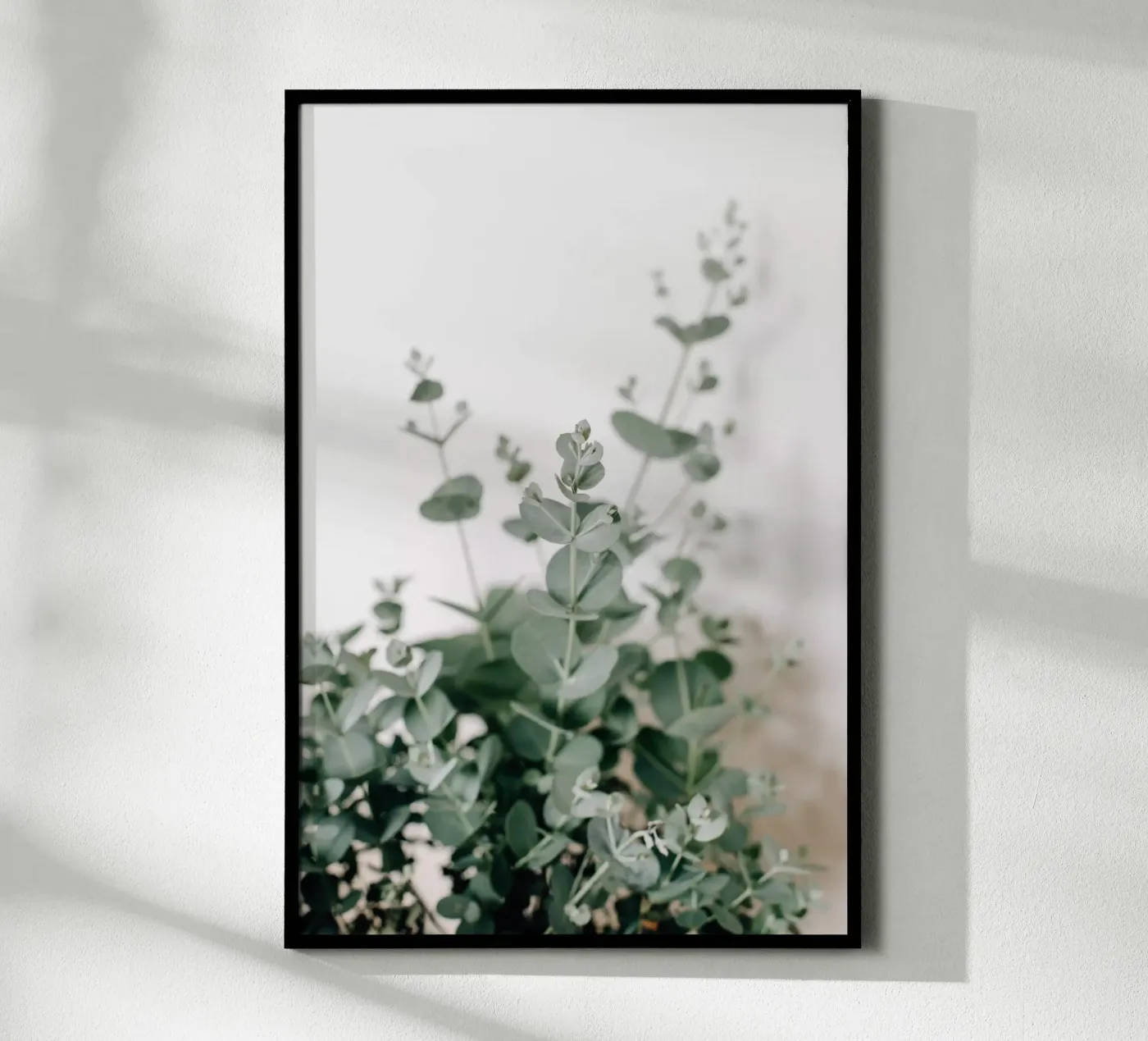 Eucalyptus poster by susea