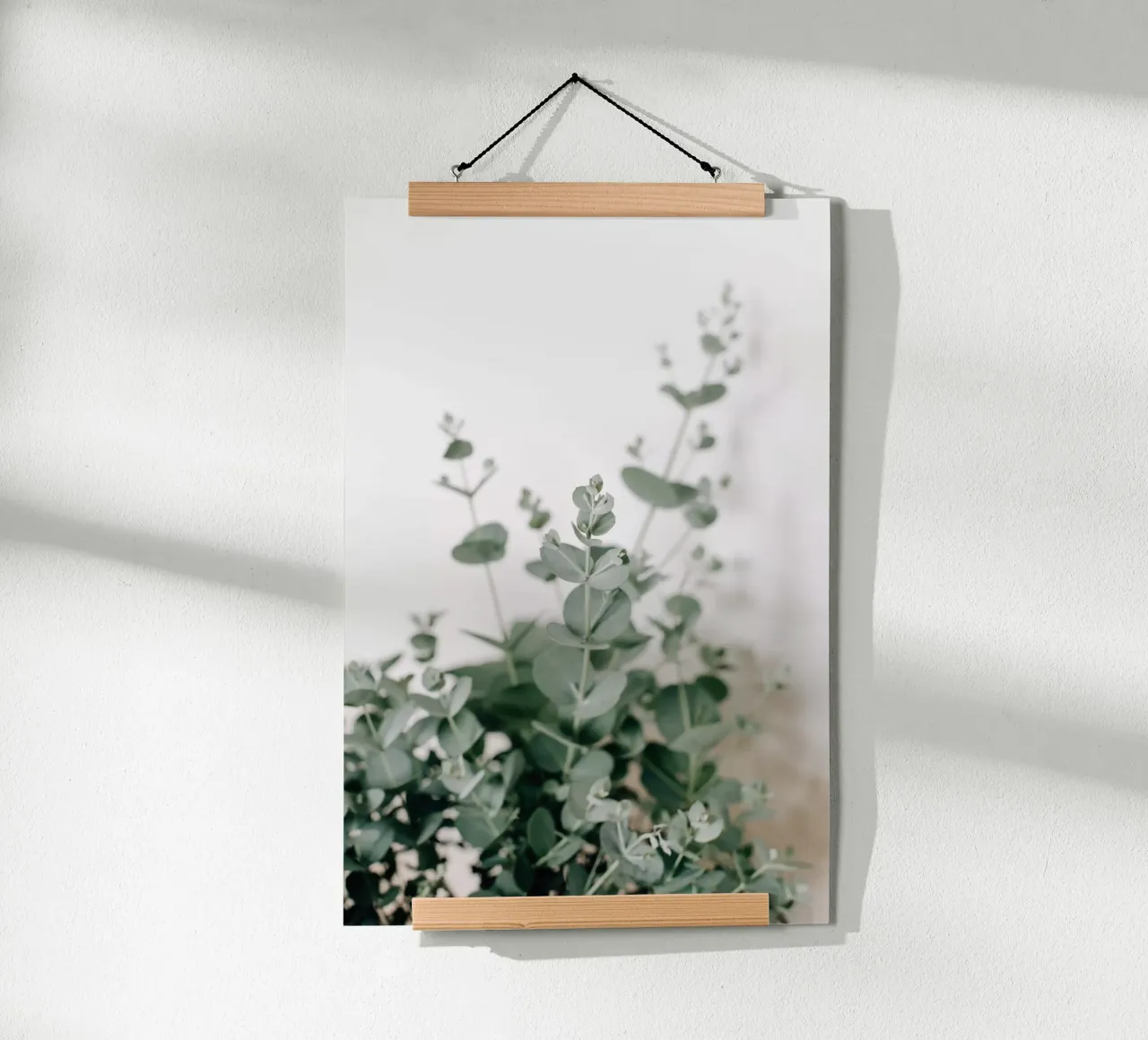 Eucalyptus poster da susea