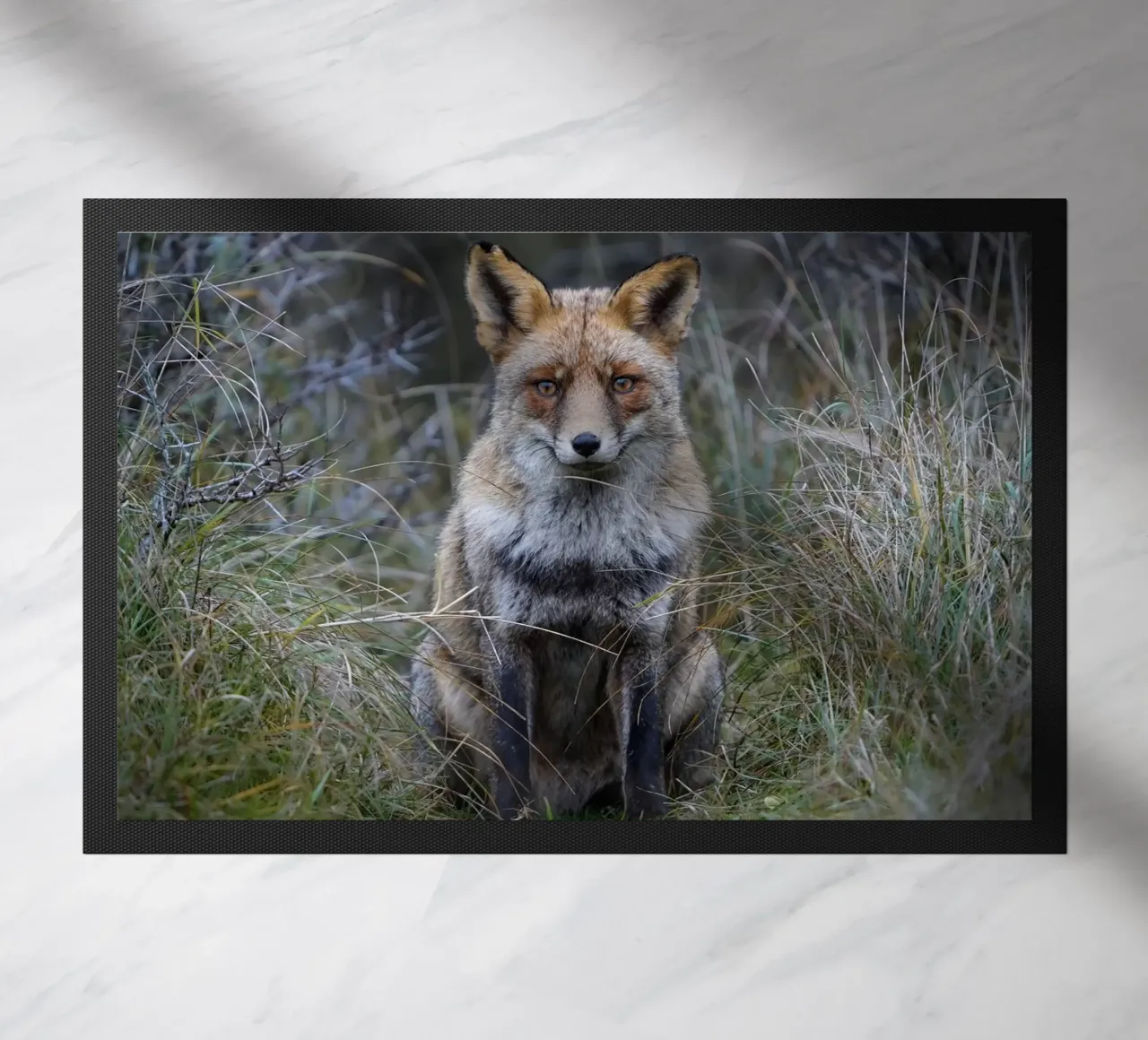 Red Fox Fußmatte von Tom's Wildlife