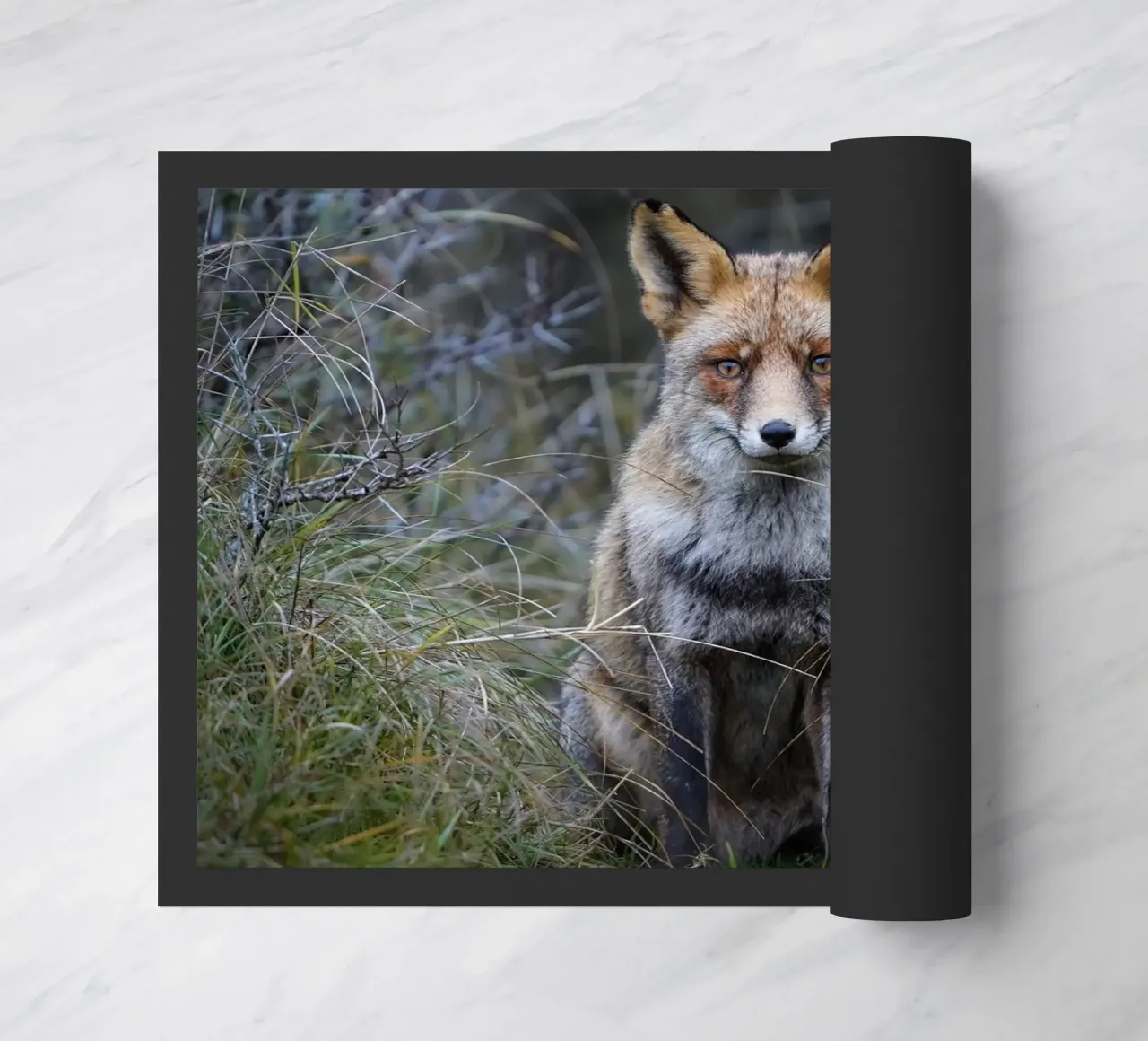 Red Fox Fußmatte von Tom's Wildlife