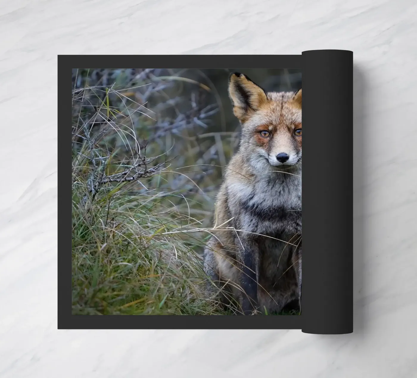 Red Fox deurmat van Tom's Wildlife