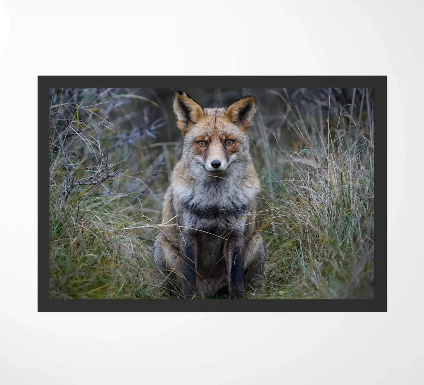 Red Fox deurmat van Tom's Wildlife