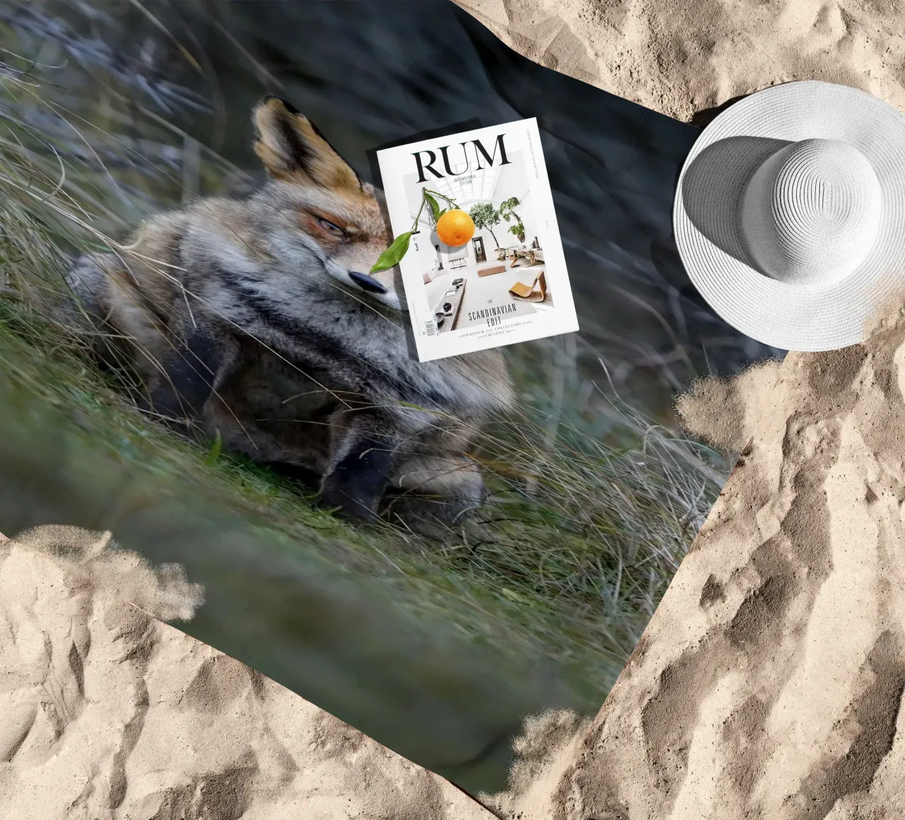 Red Fox telo mare da Tom's Wildlife