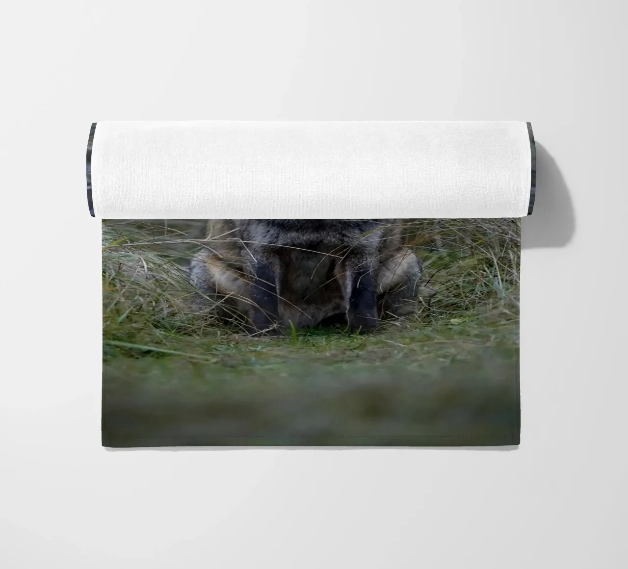 Red Fox telo mare da Tom's Wildlife