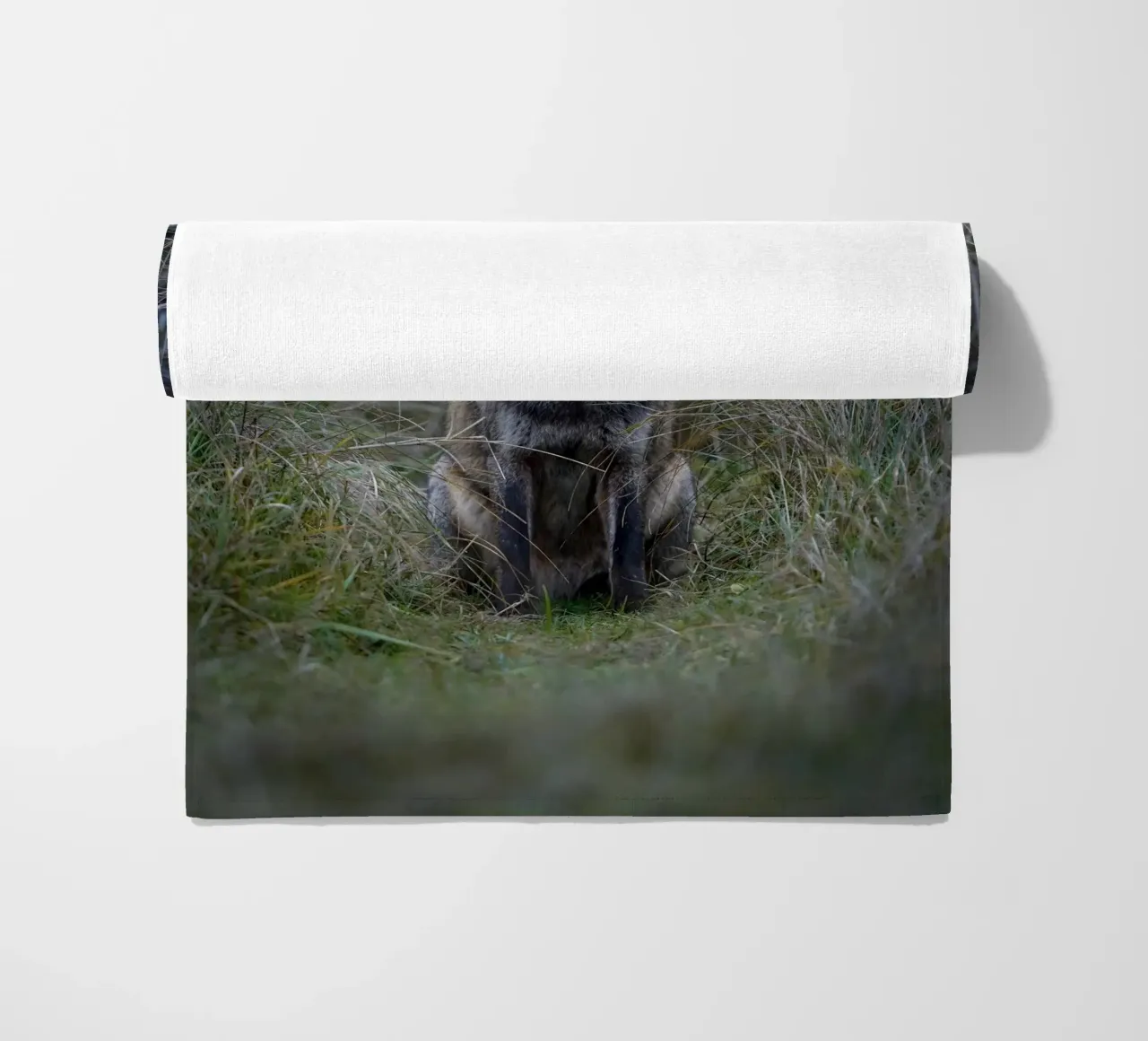 Red Fox telo mare da Tom's Wildlife