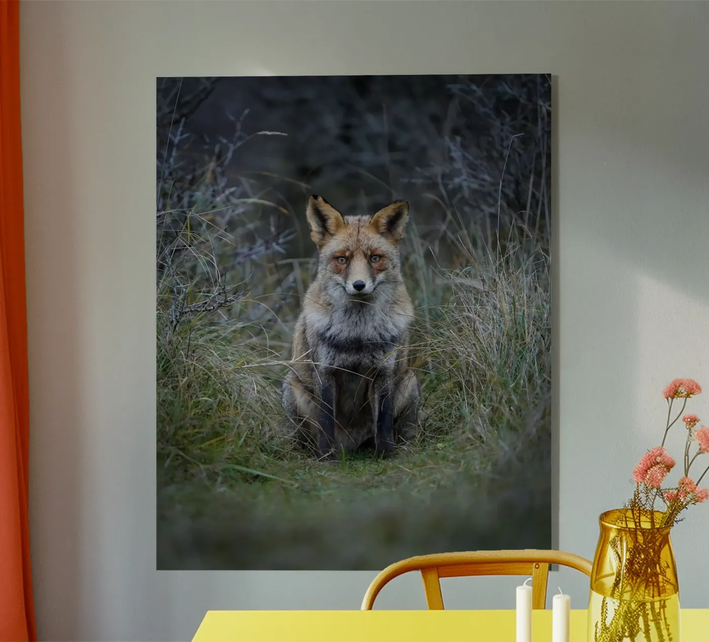 Volpe rossa plexiglass da Tom's Wildlife
