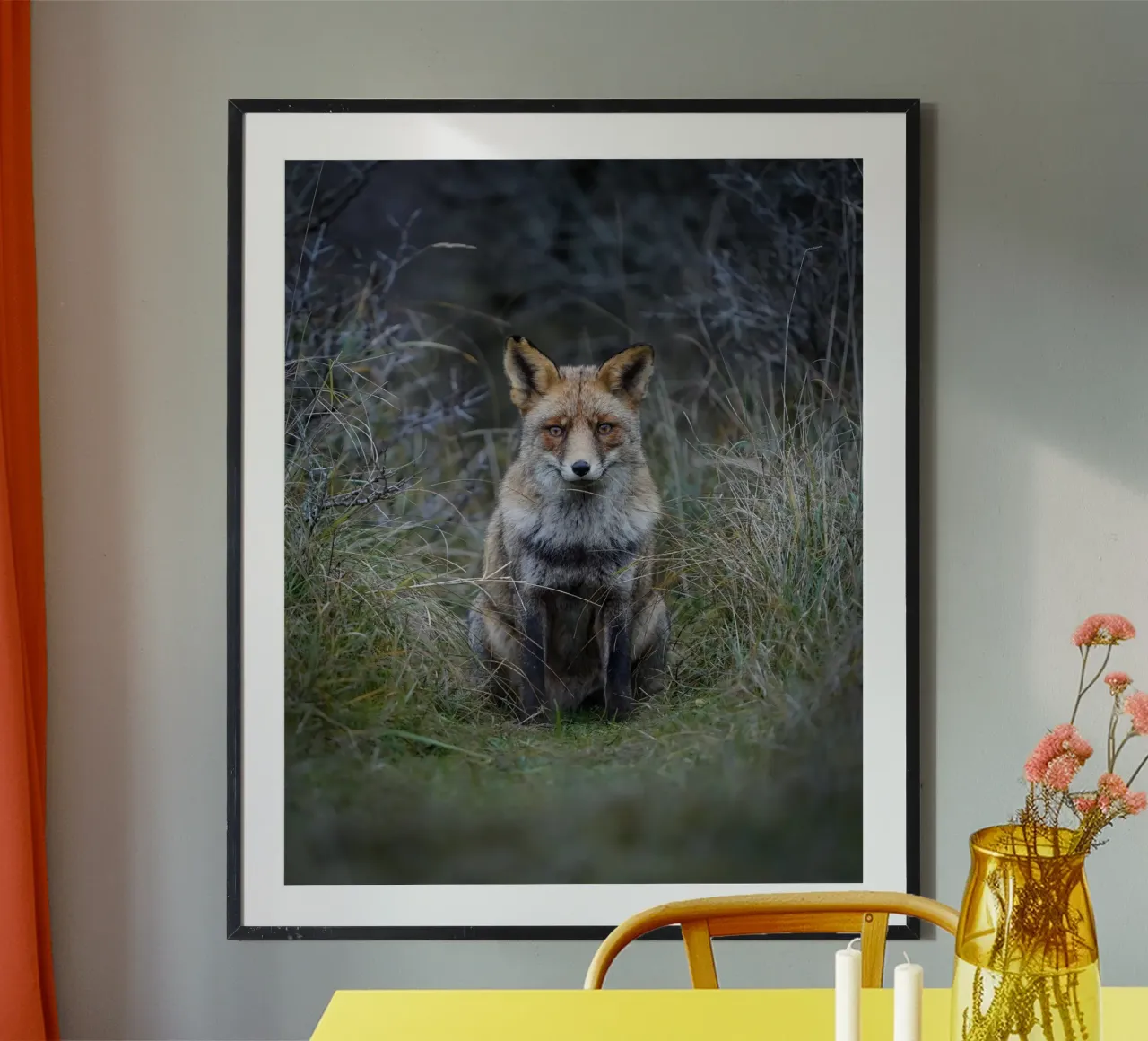 Red Fox poster by Tom's Wildlife