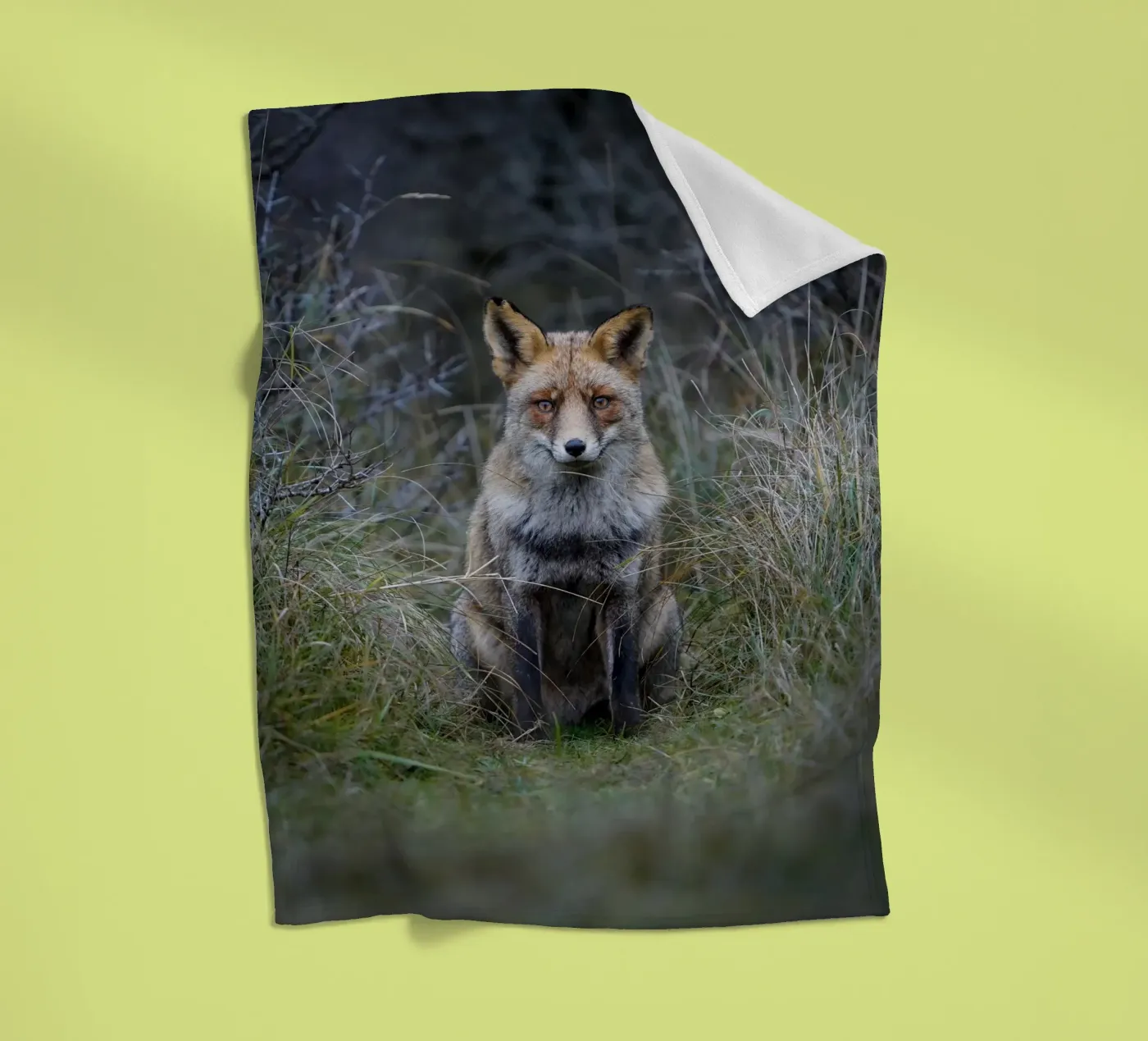 Red Fox fleecedeken van Tom's Wildlife