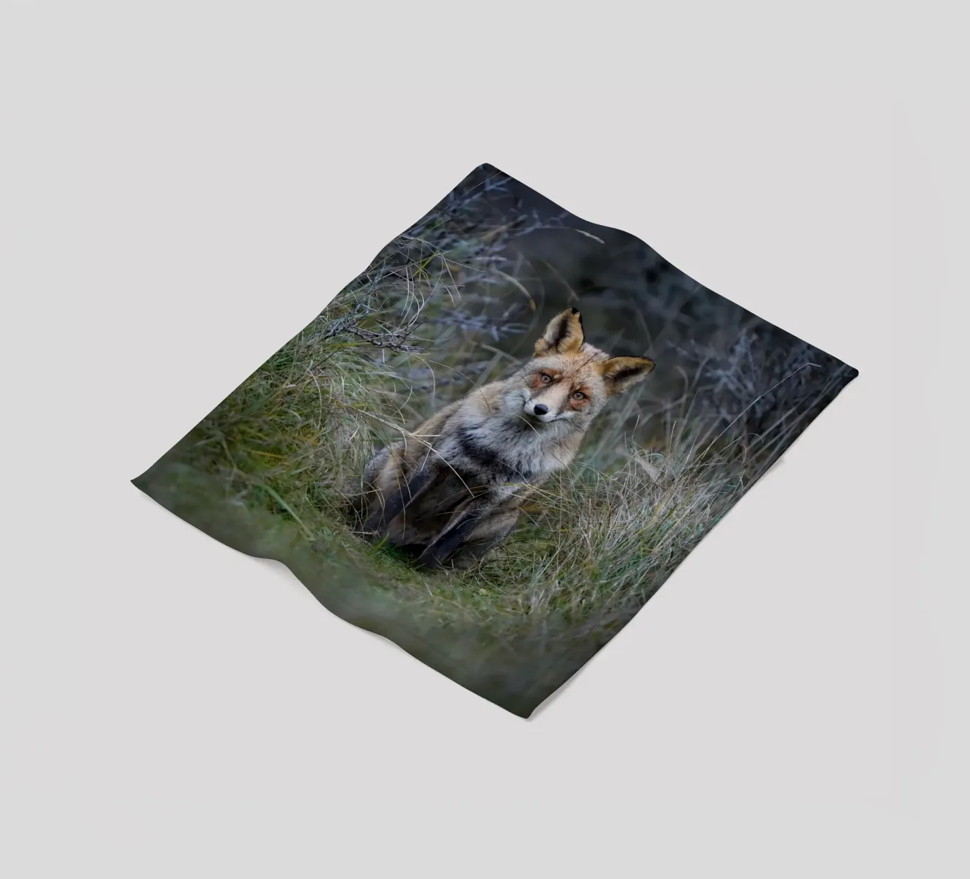 Red Fox fleecedeken van Tom's Wildlife