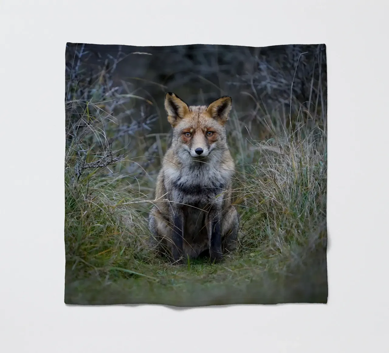 Rotfuchs Fleecedecke von Tom's Wildlife