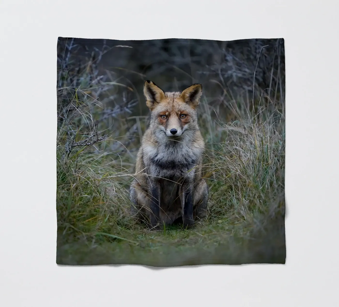 Red Fox fleecedeken van Tom's Wildlife