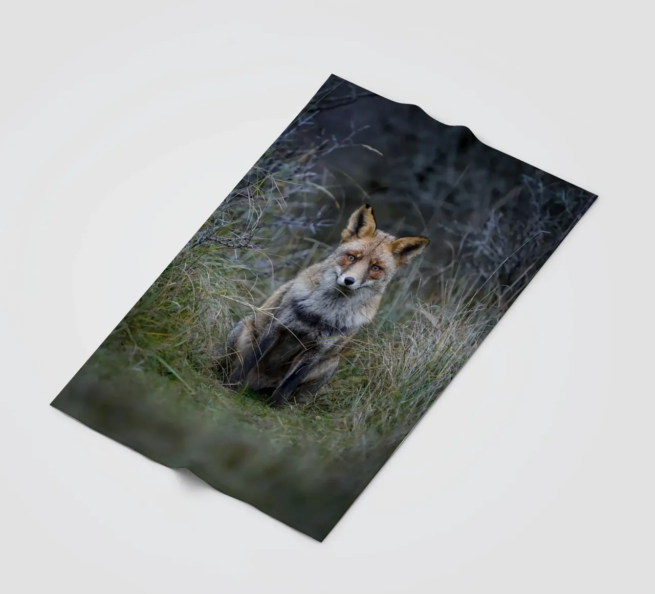 Rode vos fleecedeken van Tom's Wildlife