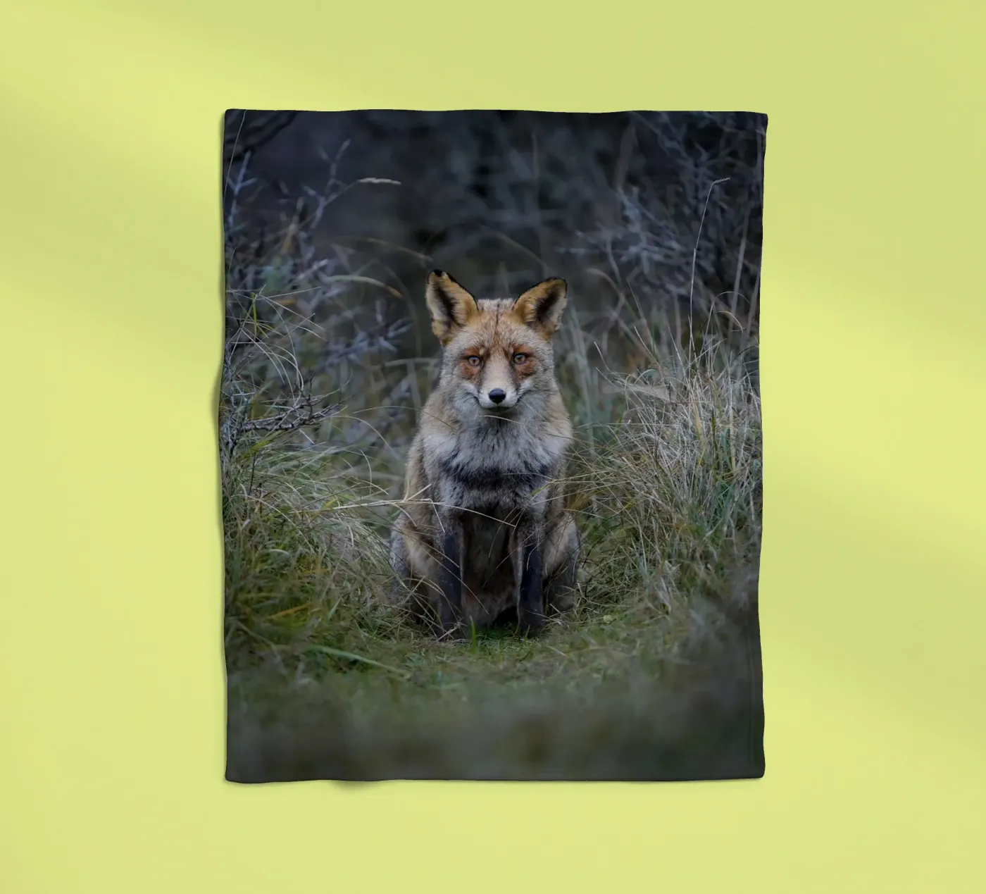 Red Fox fleecedeken van Tom's Wildlife
