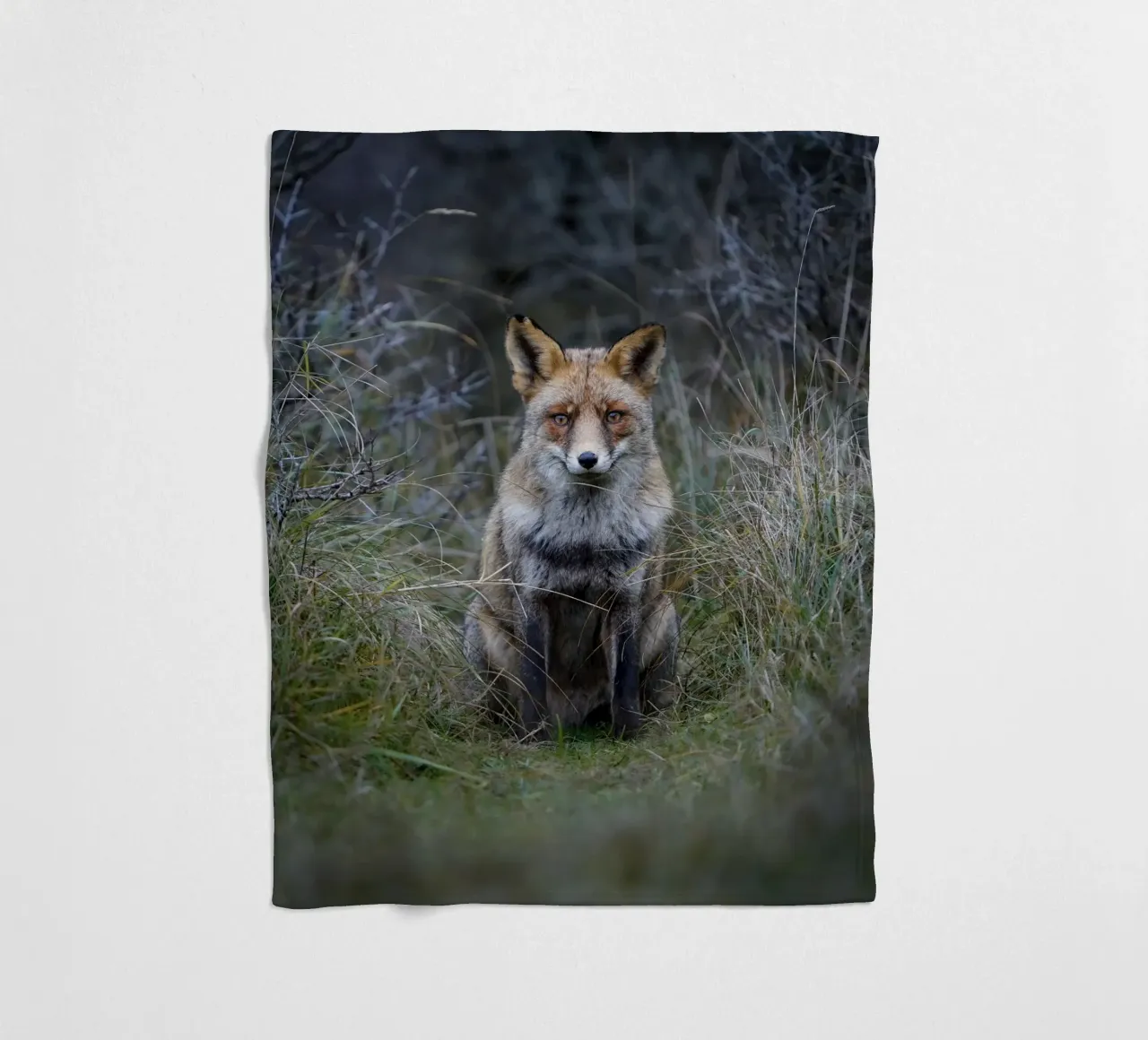 Rotfuchs Fleecedecke von Tom's Wildlife