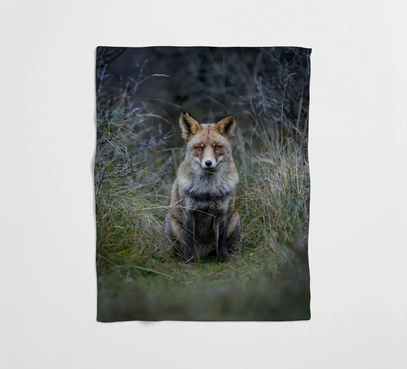 Red Fox fleecedeken van Tom's Wildlife