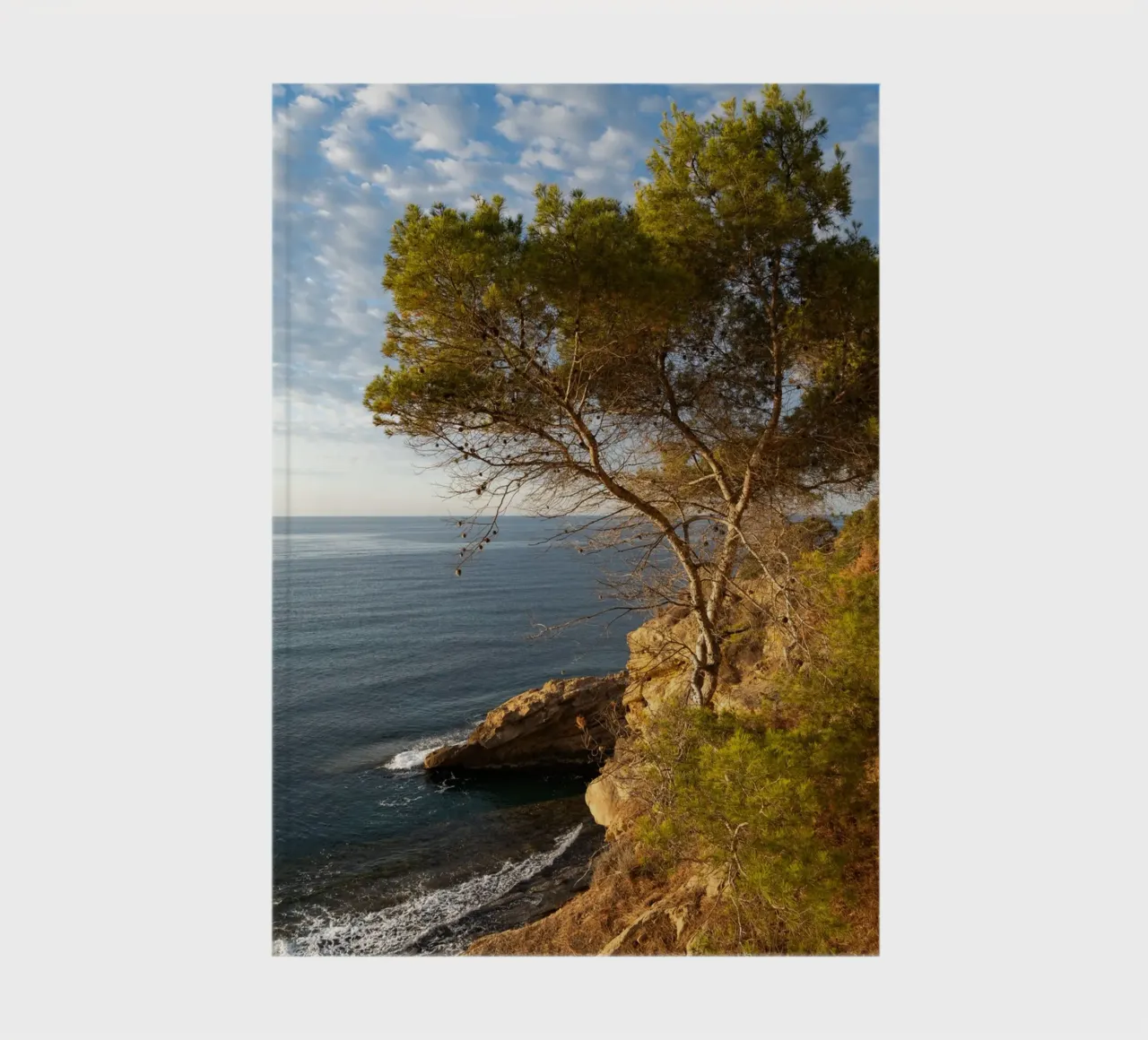 Pine trees and cliffs on the Mediterranean notebook by Adriana Mueller