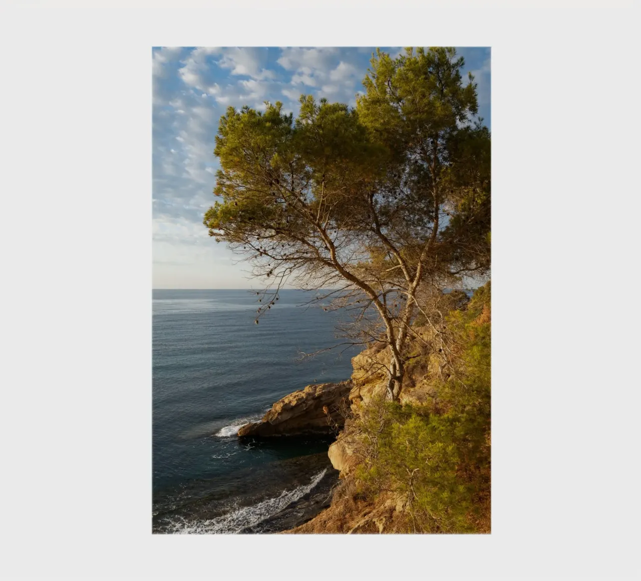 Pine trees and cliffs on the Mediterranean notebook by Adriana Mueller