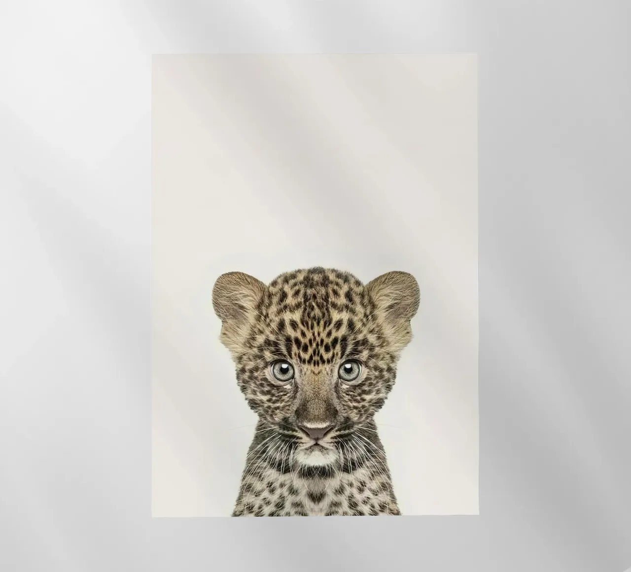 Bambino leopardo pellicola backlit da Emil Art Studio