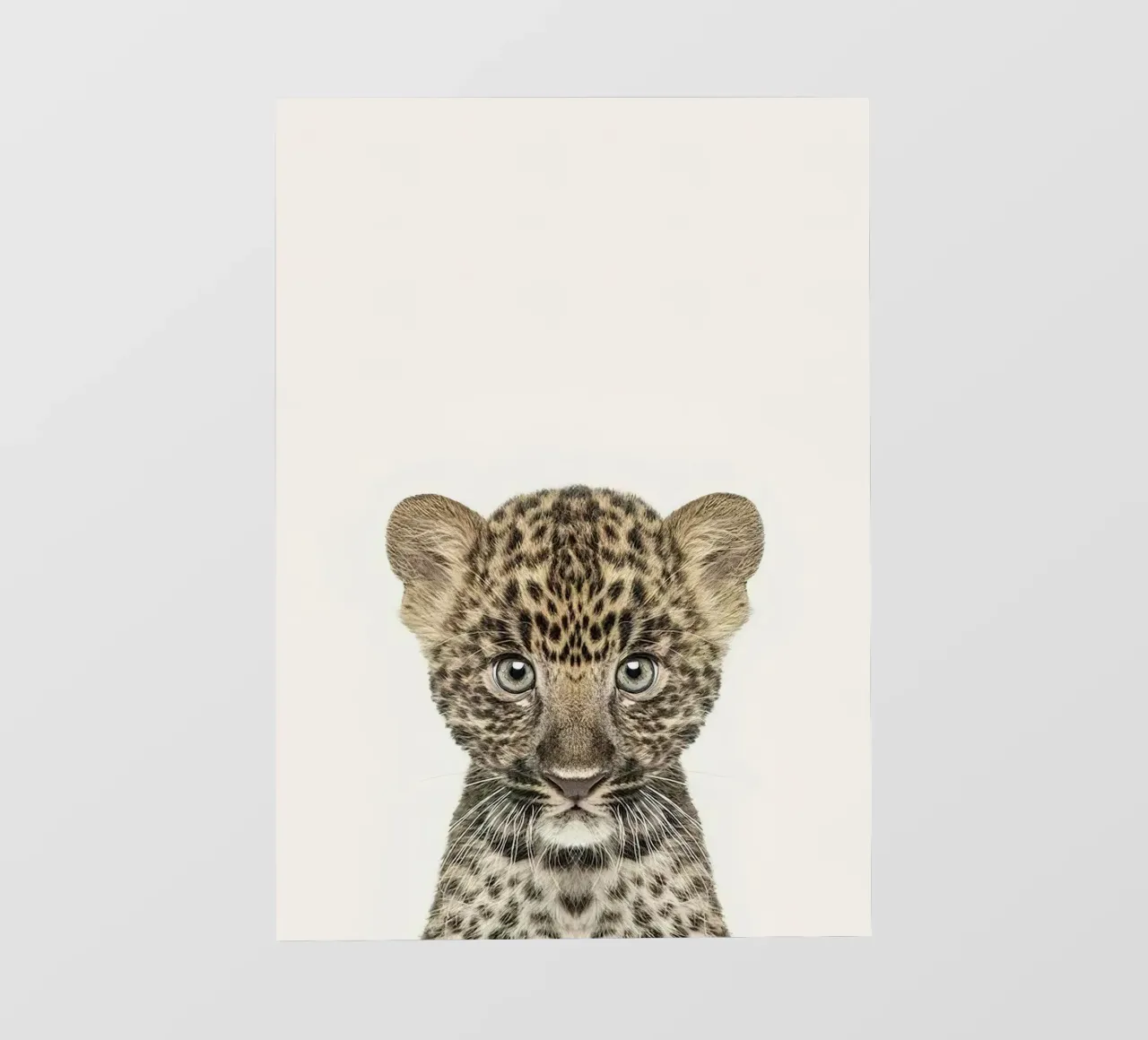 Bambino leopardo pellicola backlit da Emil Art Studio