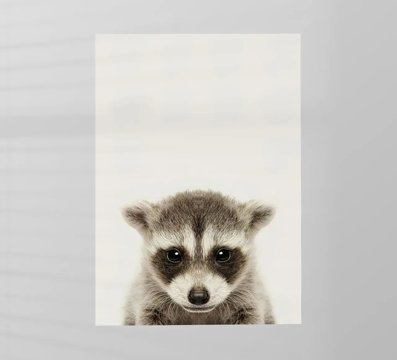 Procione pellicola backlit da Emil Art Studio