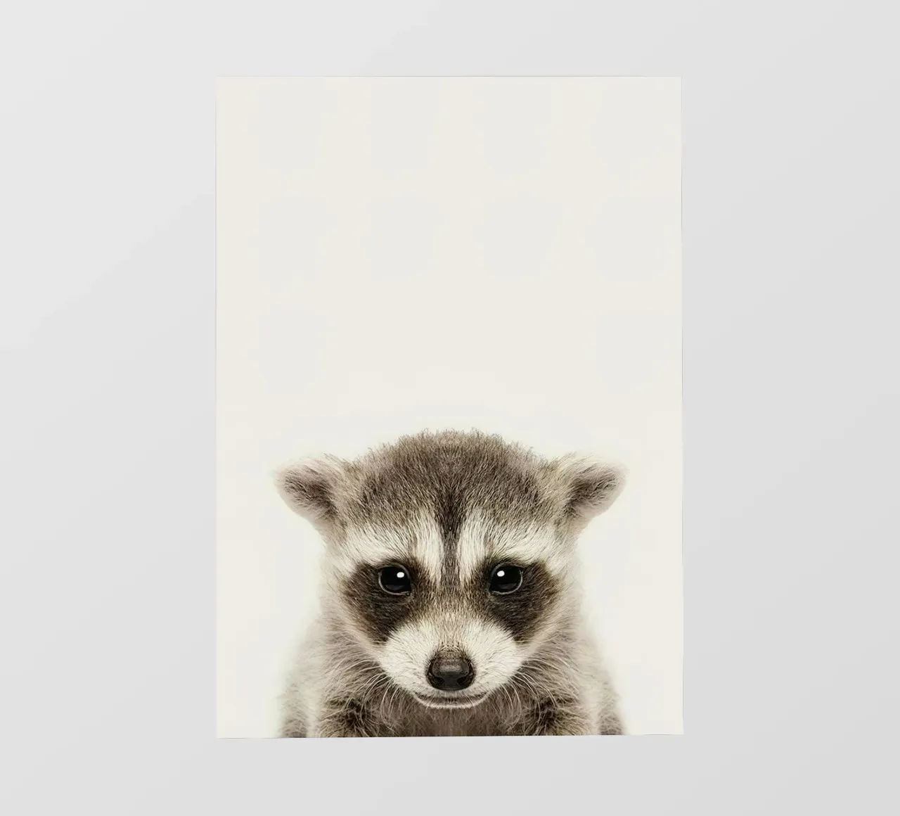 Procione pellicola backlit da Emil Art Studio