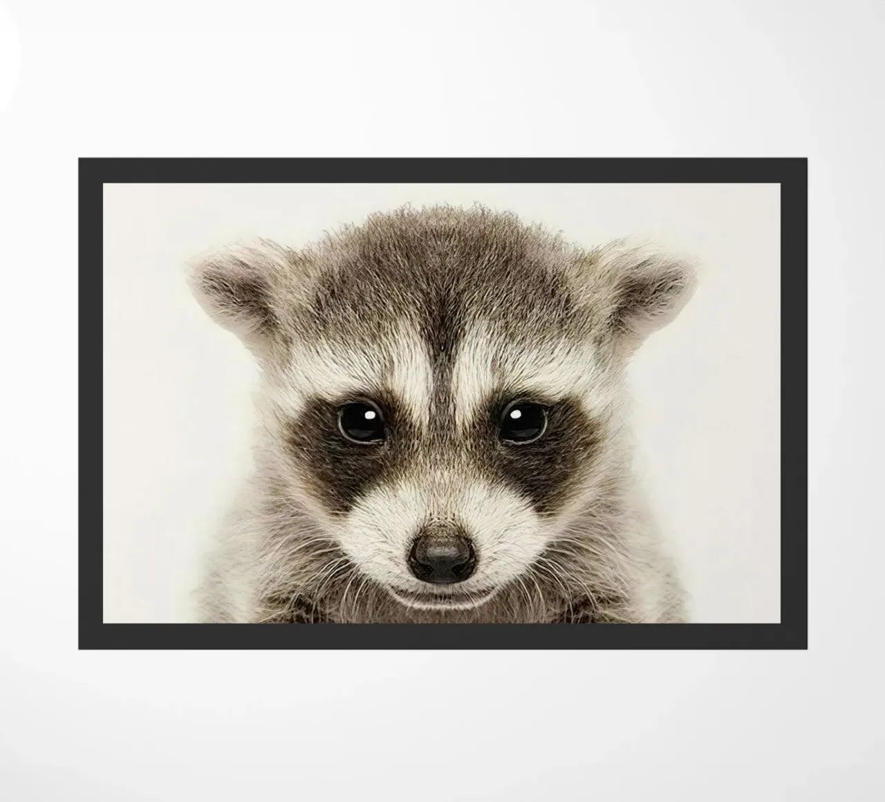 Procione zerbino da Emil Art Studio