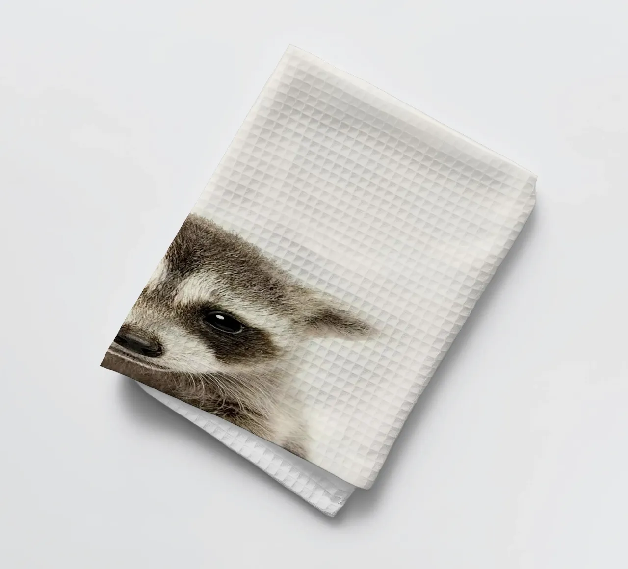 Procione canovaccio da cucina da Emil Art Studio