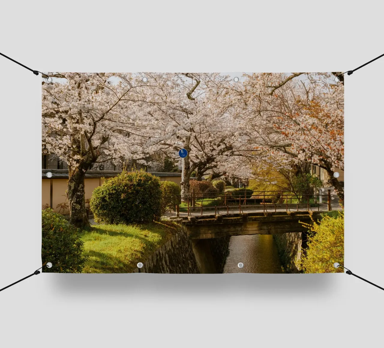 Ponte dei ciliegi in fiore a Kyoto, Giappone telo in pvc da mbgraphx2