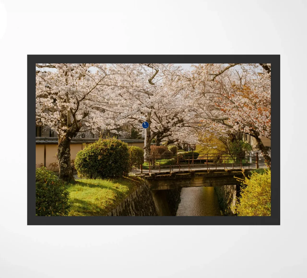 Ponte dei ciliegi in fiore a Kyoto, Giappone zerbino da mbgraphx2