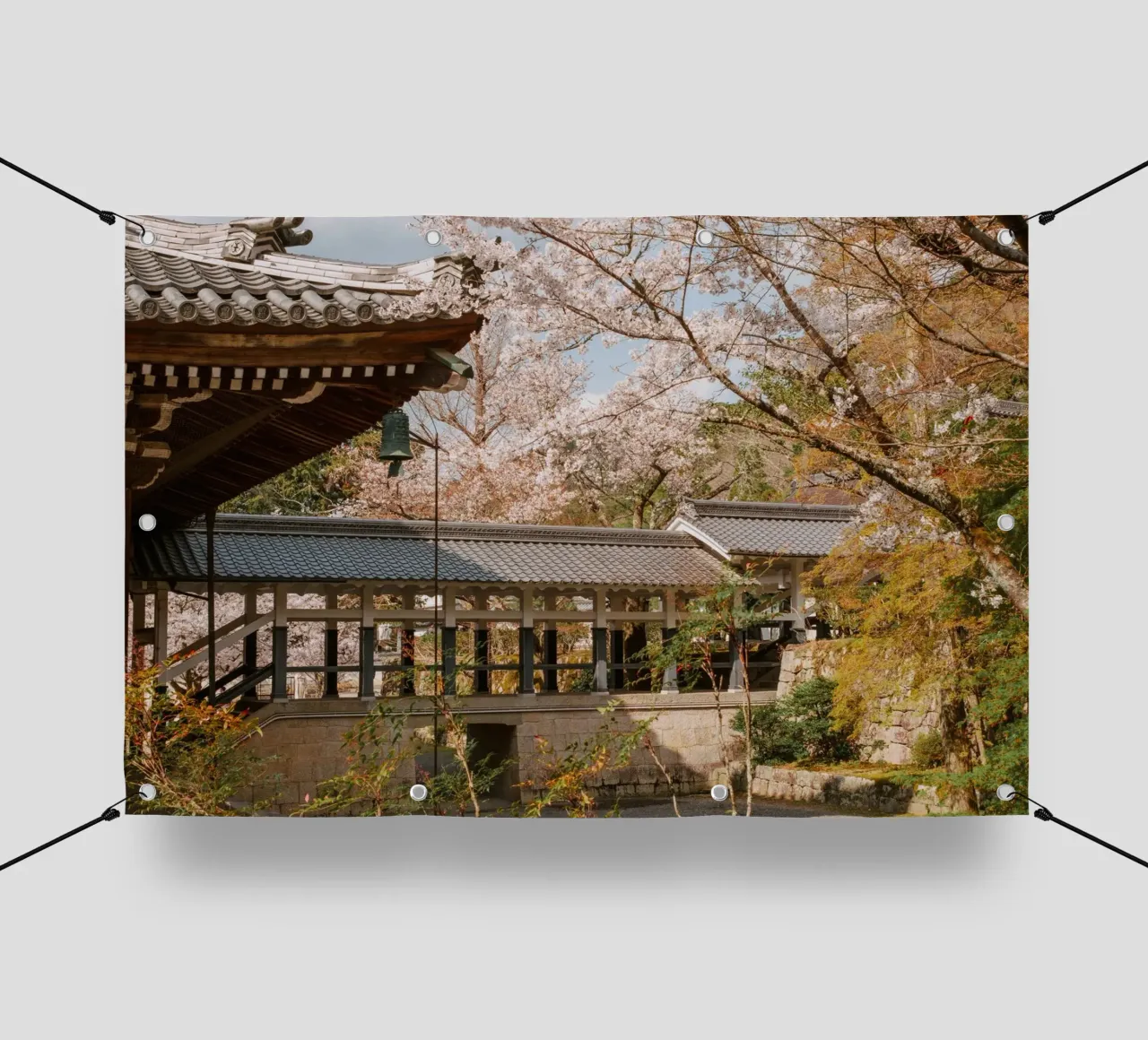 Tempio dei ciliegi in fiore a Kyoto, Giappone telo in pvc da mbgraphx2