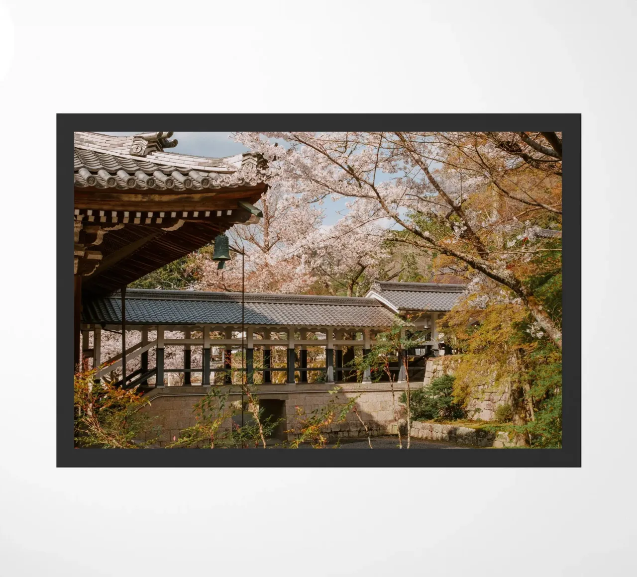 Tempio dei ciliegi in fiore a Kyoto, Giappone zerbino da mbgraphx2
