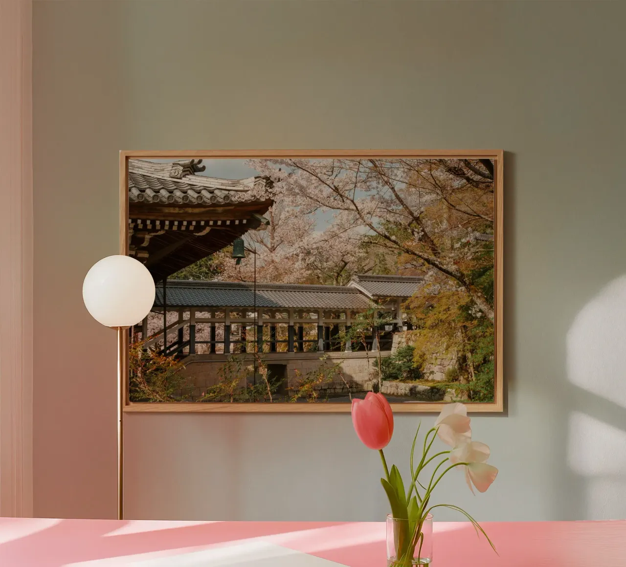 Tempio dei ciliegi in fiore a Kyoto, Giappone pannello forex da mbgraphx2