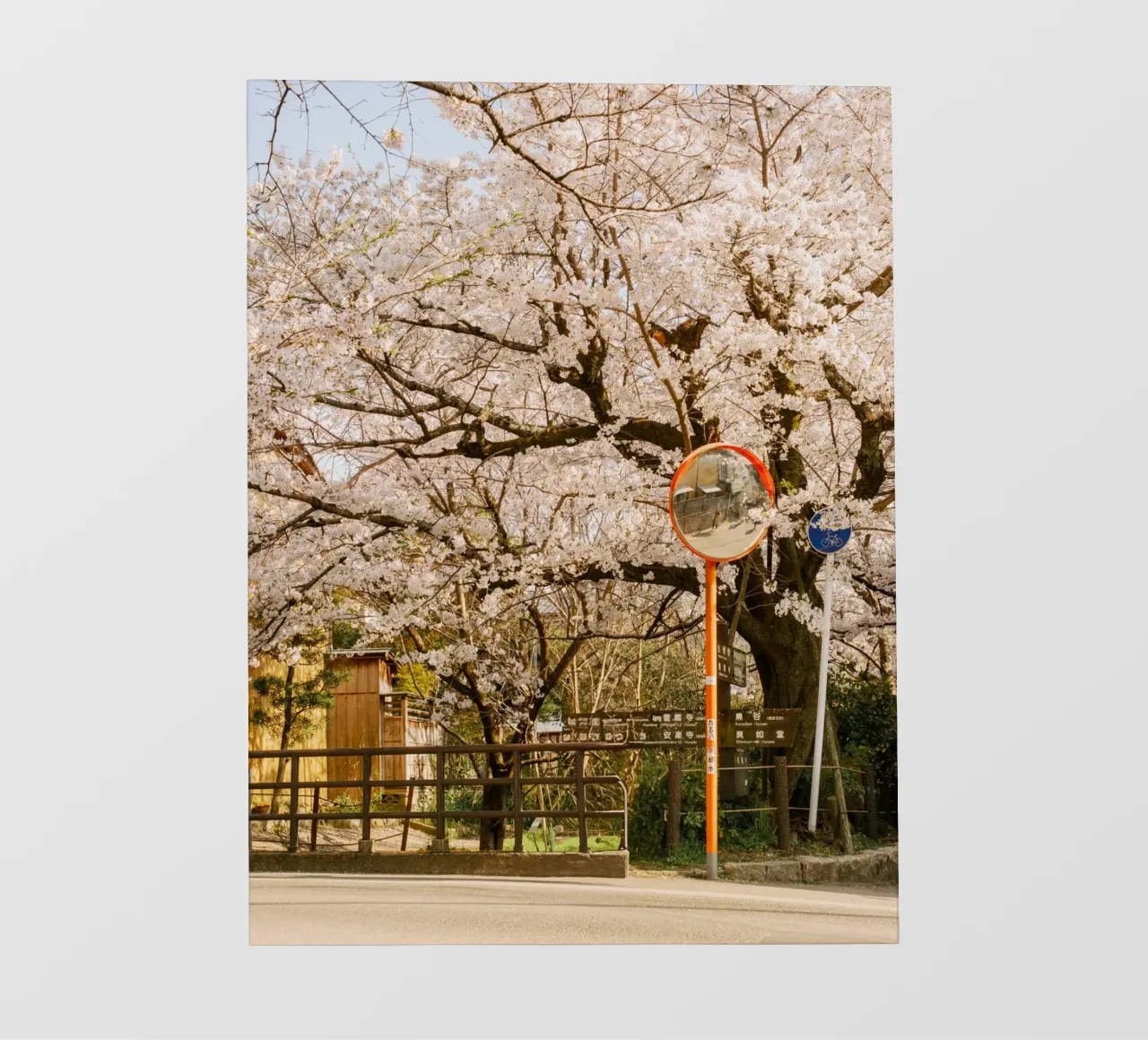 La via dei ciliegi in fiore a Kyoto, Giappone pellicola backlit da mbgraphx2