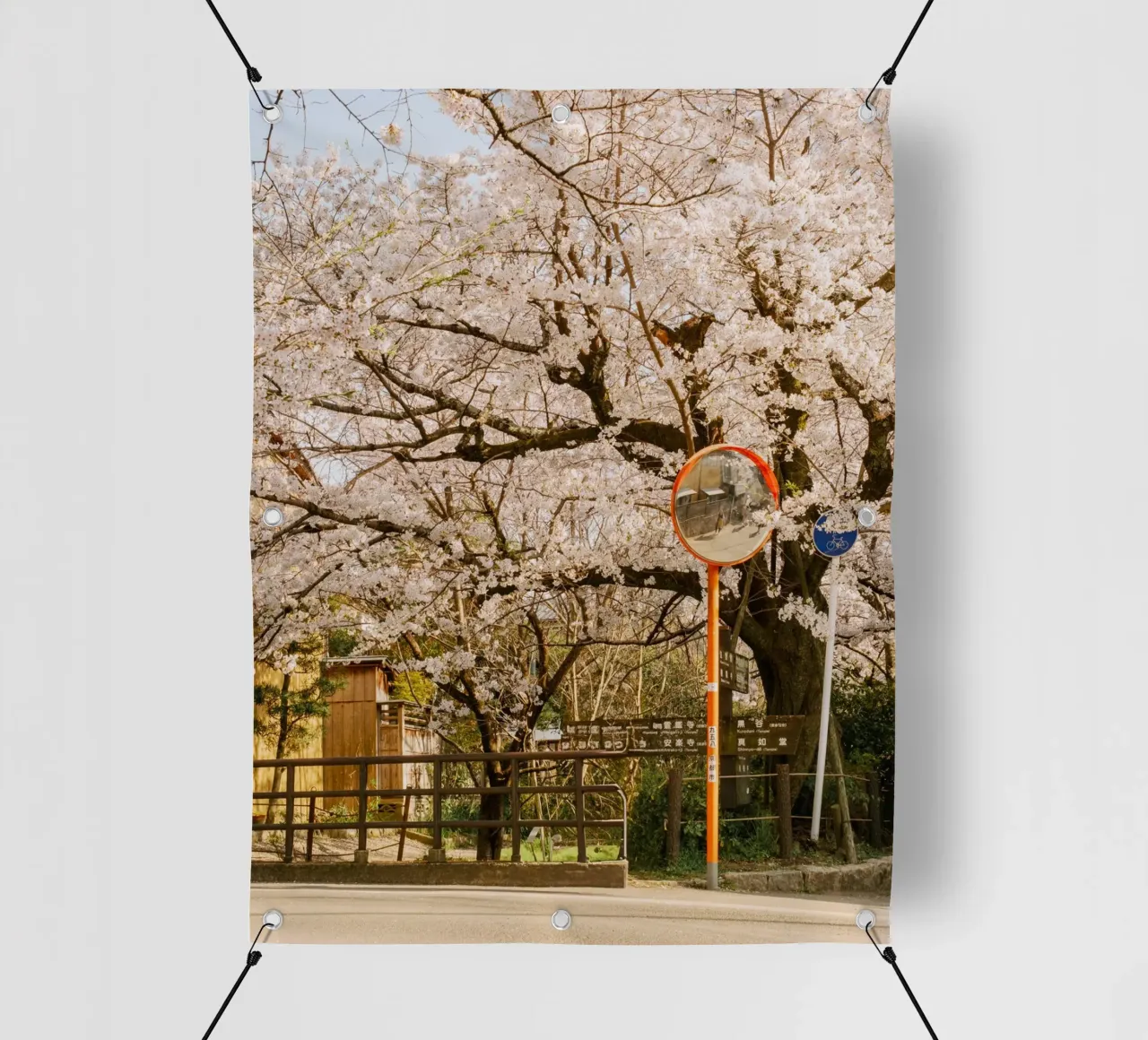 La via dei ciliegi in fiore a Kyoto, Giappone telo in pvc da mbgraphx2